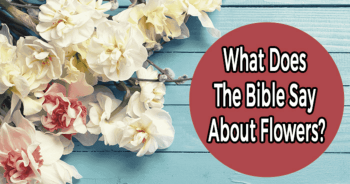 stop-and-smell-the-flowers-what-does-the-bible-say-about-flowers-quiz