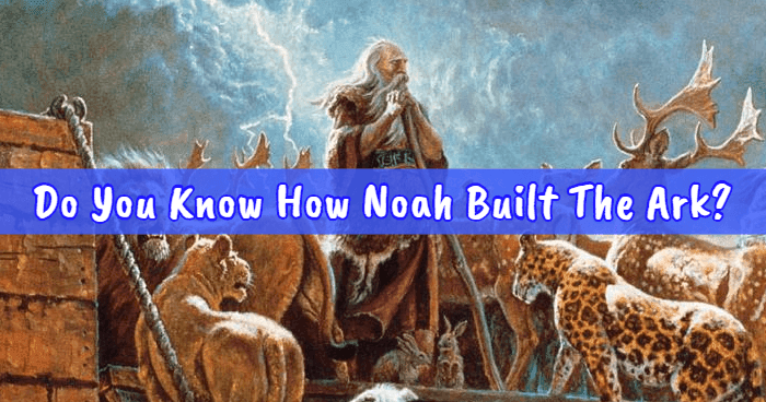 do-you-know-how-noah-built-the-ark