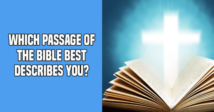 which-passage-of-the-bible-best-describes-you