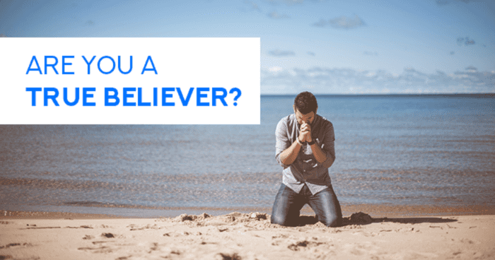 Are you a True Believer? 