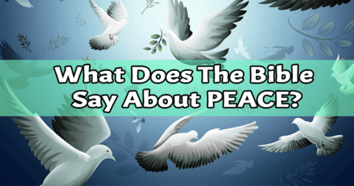 what-does-the-bible-say-about-peace-can-you-select-the-correct-missing-words